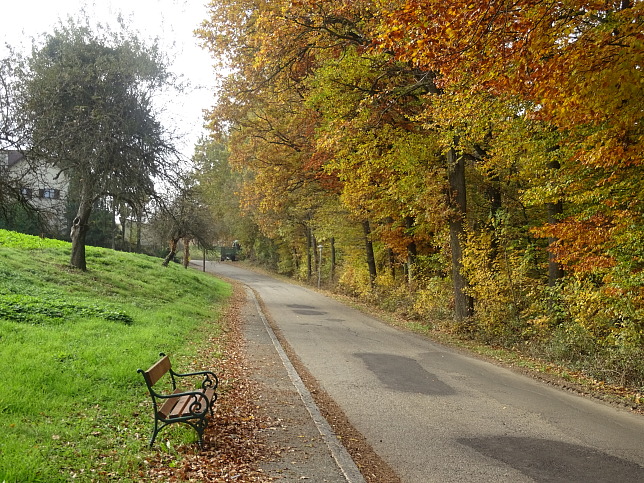 Henndorf, Henndorfer Strae