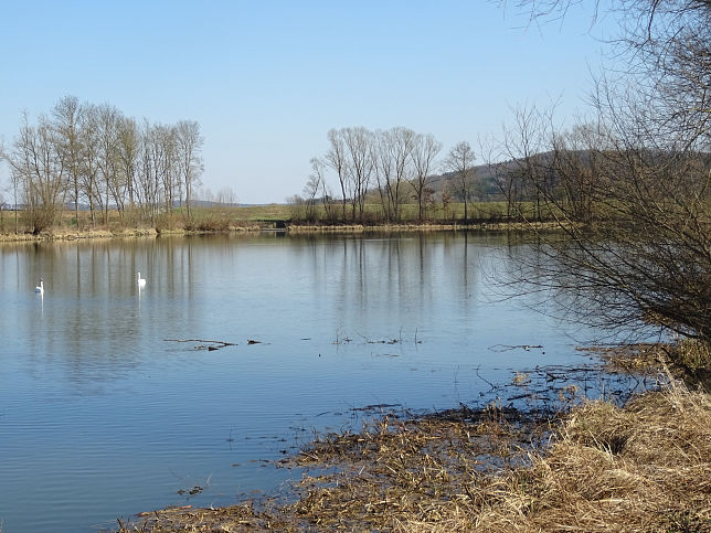Rauchwart, Fischteich