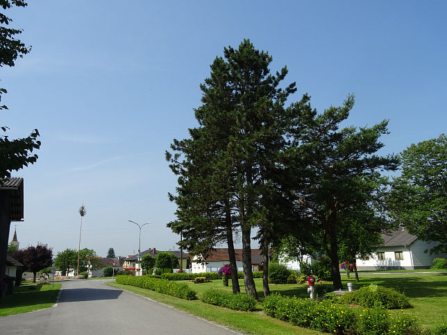 Steinfurt